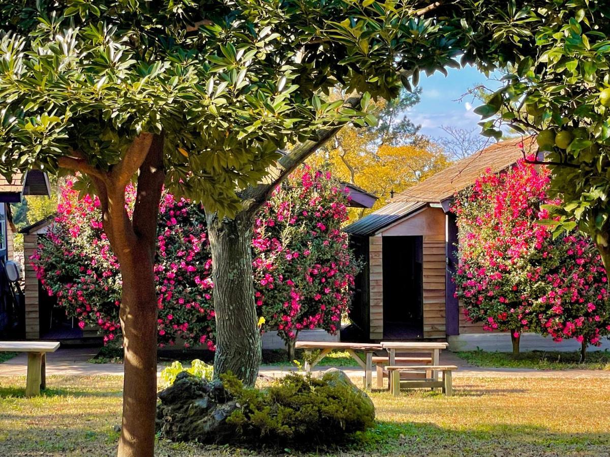 Log Park Dochidol Ranch เมืองเชจู