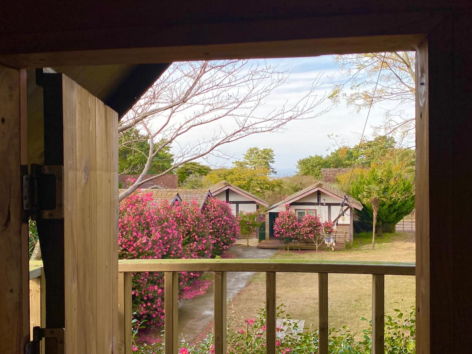 Log Park Dochidol Ranch วันหยุดที่บ้าน เมืองเชจู