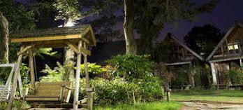 Log Park Dochidol Ranch เมืองเชจู