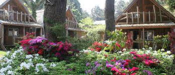 Log Park Dochidol Ranch Holiday home Jeju