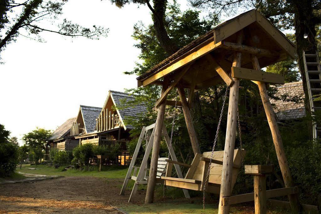 Log Park Dochidol Ranch